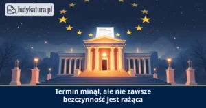 NSA: bezczynność transgraniczna nie&nbsp;zawsze jest rażąca
